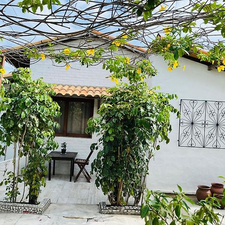 Praia de Pipa Casa Tua Pipa 아파트 외부 사진