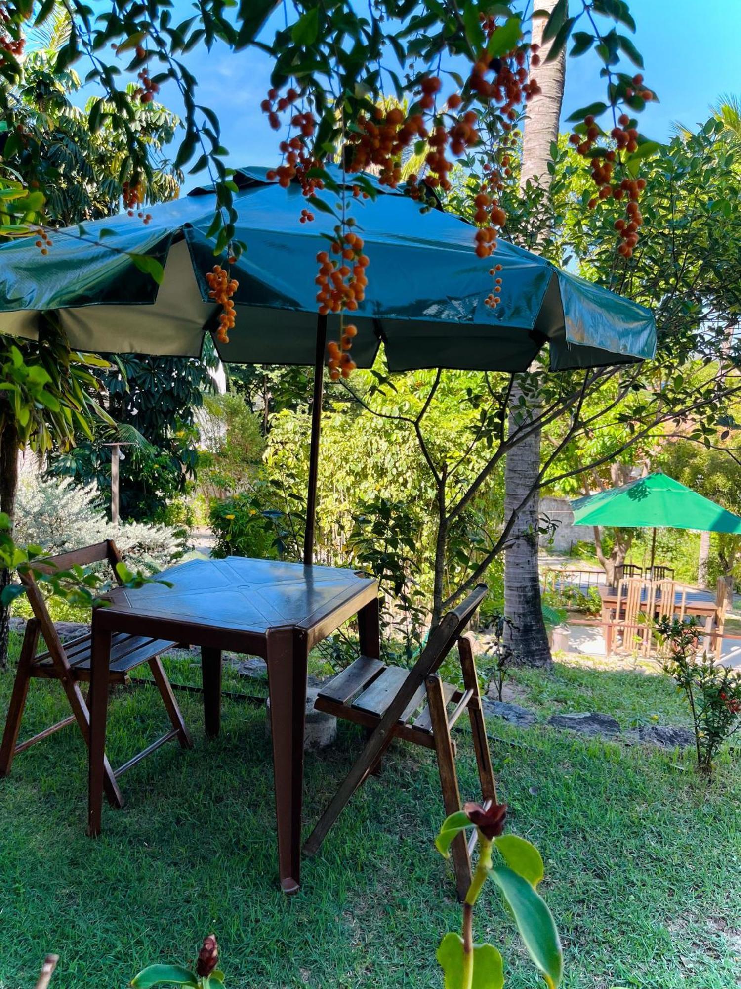Praia de Pipa Casa Tua Pipa 아파트 외부 사진